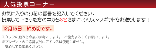 人気投票コーナー