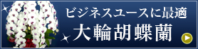 花ギフト｜フラワーギフト