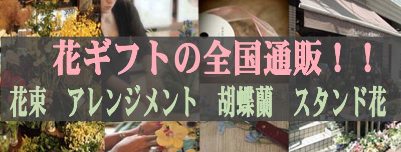 花 通販 フローリスト カノシェ 花 通販 プレゼントはもちろん自宅用の定期便も人気です ネット通販で人気の花屋 即日翌日お届け可 アレンメント 花束 ブーケ 観葉植物 胡蝶蘭 花 通販 自宅用 定期便予算 値段 相場 価格 毎月お届け定期便も承ります 花 通販 フローリスト カノシェ 花 通販 プレゼントはもちろん自宅用の定期便も人気です ネット通販で人気の花屋 即日翌日お届け可 アレンメント 花束 ブーケ 観葉植物 胡蝶蘭 花 通販 自宅用 定期便予算 値段 相場 価格 毎月お届け定期便も承ります