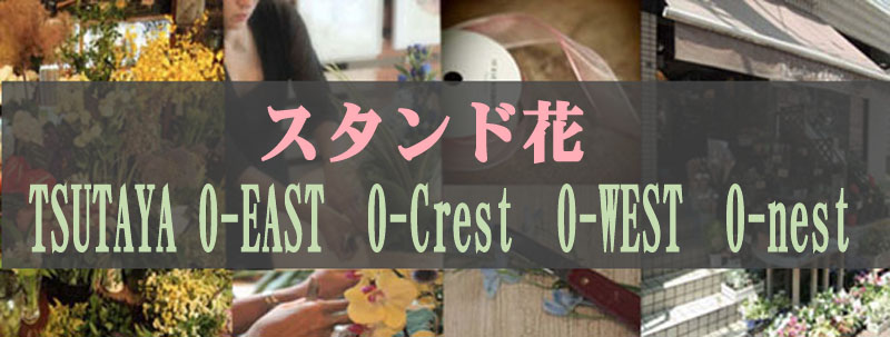 TSUTAYA@O-EAST@O-Crest@O-WEST@O-nest@shibuya duo MUSIC EXCHANGE@X^hԁbX^ht[btX^bJmVF