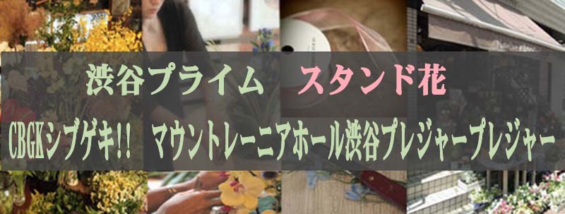 CBGKVuQL!!@X^hԁ@}Eg[jAz[aJvW[vW[ X^hԁ@aJvCbMt.RAINIER HALL SHIBUYA PLEASURE PLEASURE@X^hԁbyԁbӒbX^ht[btX^bjԁbԃMtgbt[Mtg