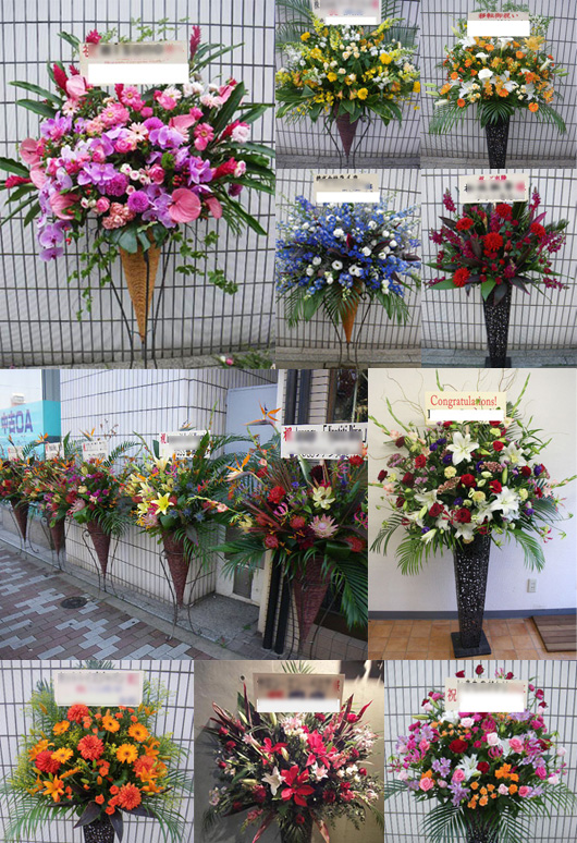 日本武道館 スタンド花 フローリスト カノシェ 楽屋花|胡蝶蘭|スタンド花|スタンドフラワー|フラスタ|祝花|日本武道館