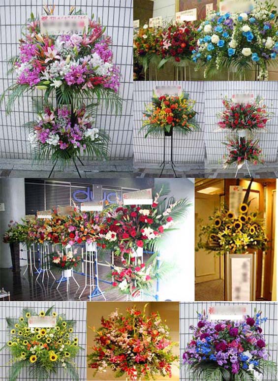 CBGKシブゲキ!! スタンド花 マウントレーニアホール渋谷プレジャープレジャー スタンド花 渋谷プライム|Mt.RAINIER HALL SHIBUYA PLEASURE PLEASURE スタンド花|楽屋花|胡蝶蘭|スタンドフラワー|フラスタ|祝花|花ギフト|フラワーギフト