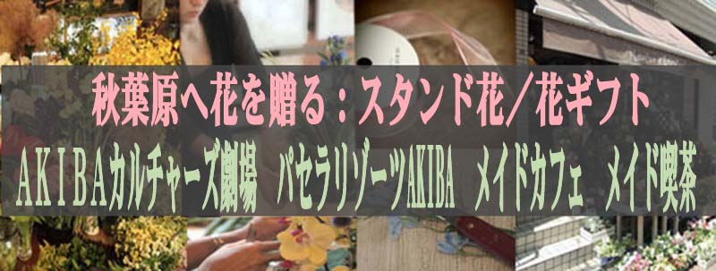 秋葉原 花を贈る フローリスト カノシェ akibaカルチャーズ劇場 スタンド花 パセラリゾーツakiba 秋葉原メイドカフェ メイド喫茶 秋葉原 花屋 花配達 花宅配 花通販 定期 花贈答 楽屋花 胡蝶蘭 スタンド花 スタンドフラワー フラスタ 祝花 花束 花ギフト 秋葉原 花を贈る フローリスト カノシェ akibaカルチャーズ劇場 スタンド花 パセラリゾーツakiba 秋葉原メイドカフェ メイド喫茶 秋葉原 花屋 花配達 花宅配 花通販 定期 花贈答 楽屋花 胡蝶蘭 スタンド花 スタンドフラワー フラスタ 祝花 花束 花ギフト