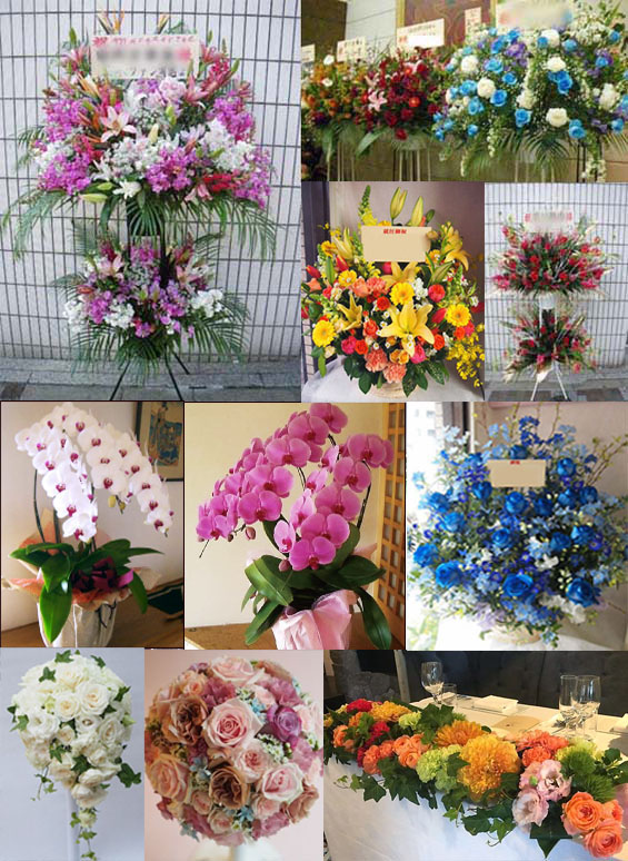 墨田区 花 贈る:フラワーギフト スタンド花 胡蝶蘭 墨田区 花屋|楽屋花|胡蝶蘭|フラワーギフト|結婚式|スタンドフラワー|フラス タ|結婚式|祝花|誕生日祝い|花束|花ギフト|花屋|宅配|配達|贈る|送る|イベント|パーティー|開店祝い|お悔やみ|お供え|一周忌|法事|法 要|定期便|頒布会|アレンジメント|プリザーブドフラワー|観葉植物| 結婚記念日|卒業祝い|退職祝い|栄転祝い|送別祝い|独立開業|開院祝い|事務所移転|記念日|コンサート|ライブ|周年|昇進|個展|演劇|公演|還 暦|喜寿|傘寿|米寿|レストラン|居酒屋|プレゼント|バースデー|国技館 錦糸町シネマ8楽天地 三井生命錦糸町ホール 墨田区曳舟文化センター 墨田区すみだ産業会館 シアターカイ TOHOシネマズ錦糸町 松竹会館 すみだトリフォニーホール レンタルホールベルモニー すみだリバーサイドホール みどりコミュニティセンター すみだ女性センター すみだ生涯学習センター 東墨田会館 お江戸両国亭 東武ホテルレバント 東京 ロッテシティホテル錦糸町 東武ホテルレバント東京 両国ビューホテル 第一ホテル両国 パールホテル両国 ホテルファミーINN 錦糸町 ホテルマイステイズ浅草 ホテルリブマックス浅草スカイフロント スーパーホテル東京・錦糸町駅前 リッチモンドホテル プレミア東京押上 ホテルパークアベニュー アネックスホテルエドアイト HOTEL GRANSKY -グランスカイ 浅草ビューホテル 錦糸町駅 両国駅 押上駅 京成曳舟駅 八広駅 業平橋駅 曳舟駅 東向島駅 鐘ヶ淵駅 東あずま駅 小村井駅 本所 吾妻橋駅 菊川駅 吾妻橋 石原 押上 亀沢 菊川 京島 錦糸 江東橋 墨田 太平 立花 立川 千歳 堤通 業平 東駒形 東墨田 東向島 文花 本 所 緑 向島 八広 横網 横川 両国